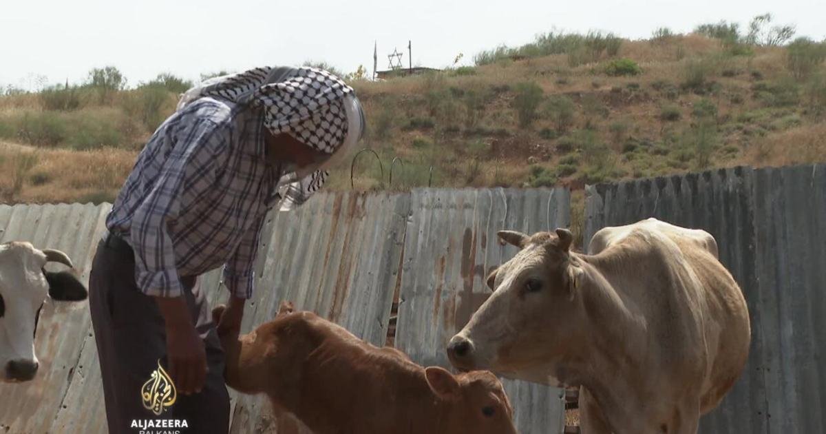 Sve češći napadi izraelskih doseljenika na palestinske beduine