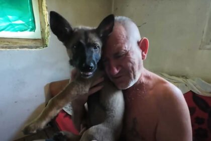 (VIDEO) Stanko primio penziju od 37 KM, sutradan ga udario voz