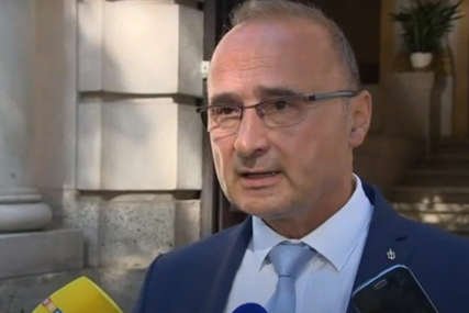 Grlić Radman kritikuje ambasadu SAD u BiH zbog stava prema Zoranu Krešiću