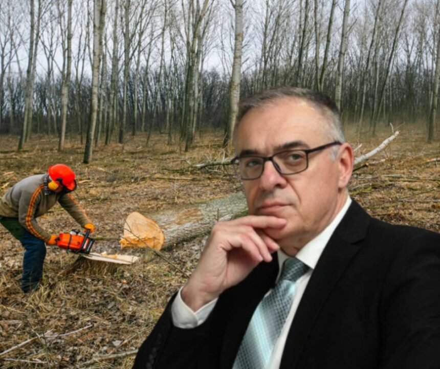 ILEGALNA SJEČA, ZAGAĐIVANJE RIJEKA: Kohabitacija na teslićki način