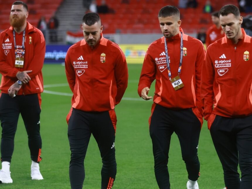 Mađari umjesto predviđenog treninga šetali po stadionu Bilino Polje
