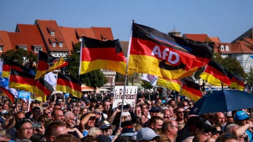 Izborni program AfD-a: Napuštanje EU-a, eura i Pariškog sporazuma