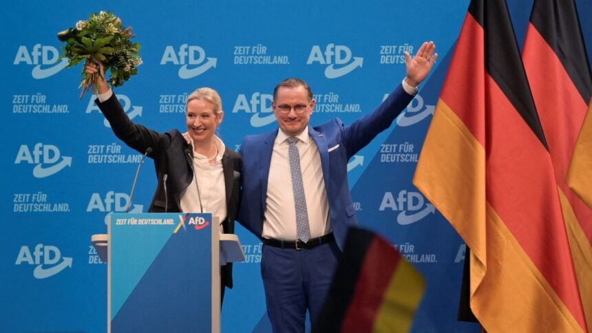 Može li Njemačkoj AFD osvojiti više moći u općim izborima u februaru?
