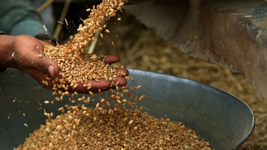 FAO: Cijene hrane pale i u januaru
