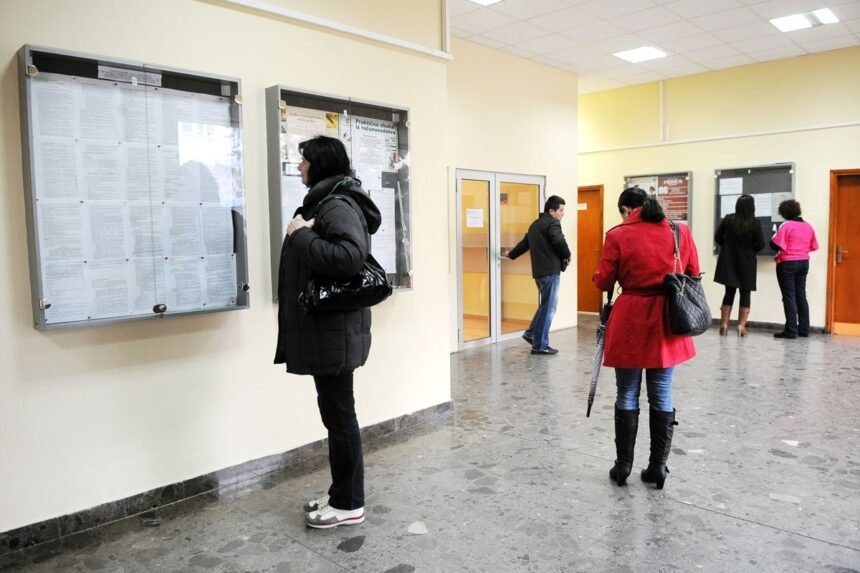 Prema podacima: Bez posla 18 doktora nauka i 401 magistar struke
