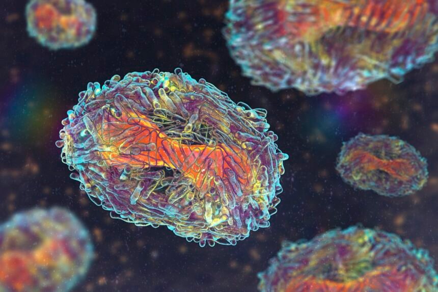MONKEYPOX ima potencijal mutiranja i odupiranja antivirusnom tretmanu, FDA upozorava