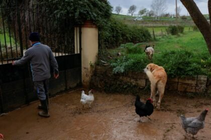VIDEO Žestoka oluja trese zemlju, bujice nose sve pred sobom: Poplave odnijele prvi život