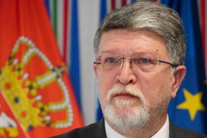 Picula: EP je spreman za pomoć u uspostavljanju dijaloga u Srbiji