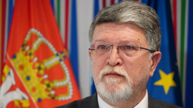 Picula: EP je spreman za pomoć u uspostavljanju dijaloga u Srbiji