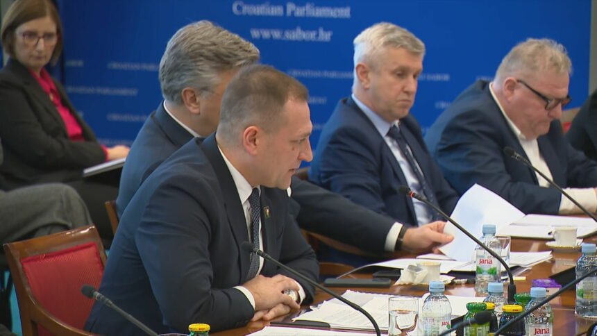 Hrvatska dobiva novog ministra: Kakav sve stare boljke očekuju DP-ovog Davida Vlajčića?