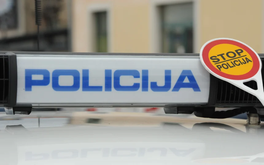 Vozač sletio s kolnika i poginuo