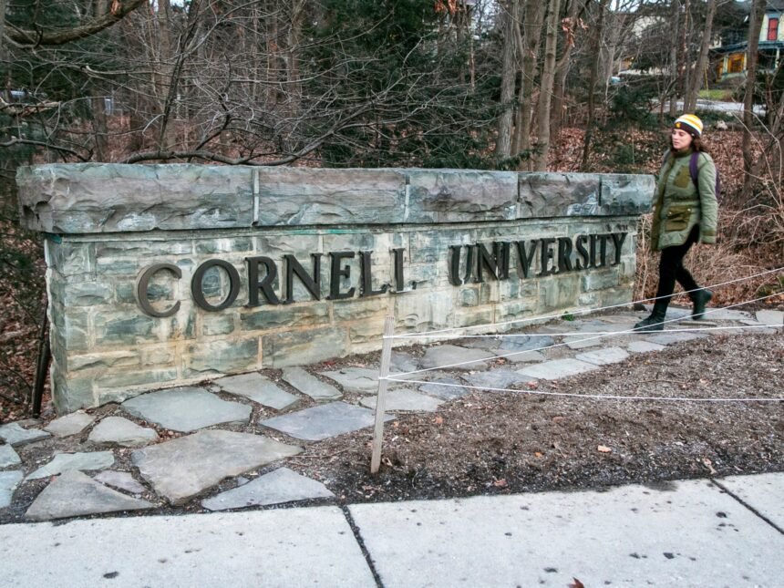 SAD zamrzavaju sredstva za Cornell, sjeverozapadno nakon pro-palestinskih protesta