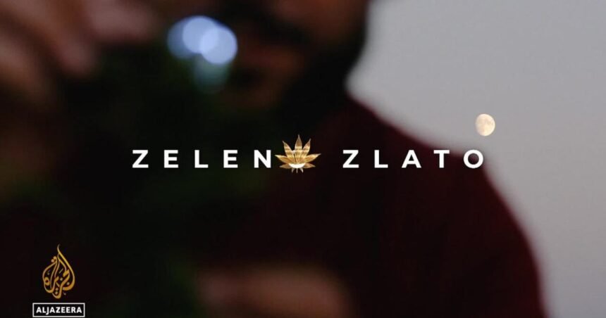 Zeleno zlato | Fullscreen