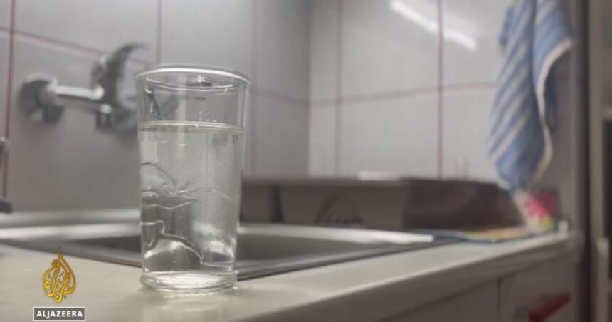 Crvi u vodi za piće u Novom Sadu