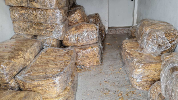 Akcija “Truba” – budžet oštećen za 110 miliona dinara, krivične prijave protiv 77 ljudi