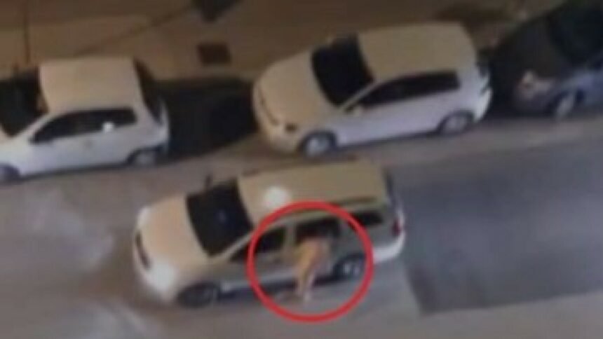 UZNEMIRUJUĆE Muškarac šetao gol po gradu: Ugrizao jednu osobu, a onda počeo razbijati automobil