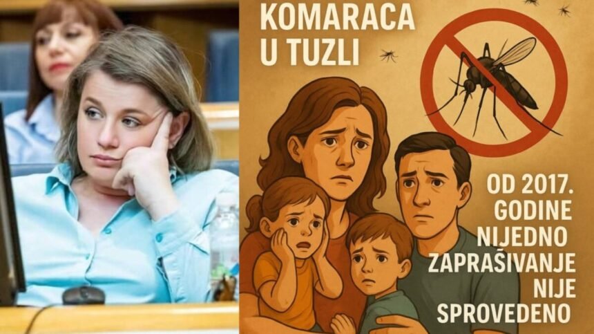 Tuzlaci traže da se grad zapraši od komaraca i krpelja: “Od 2017-te nadležni šute”