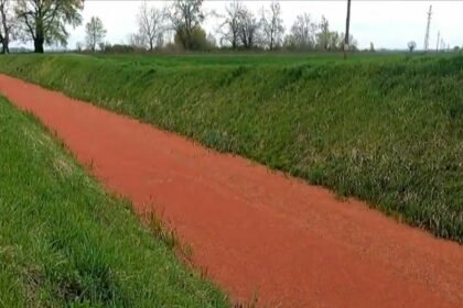 Neobična pojava u Baranji: Voda u kanalu pocrvenjela, evo i zašto