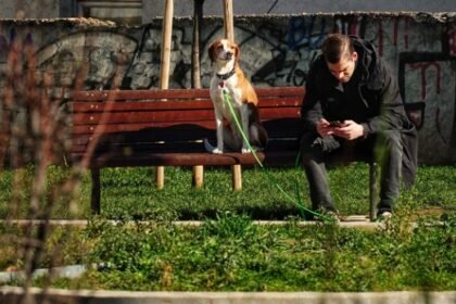 Jutarnji mrast i sunčan dan u Srbiji