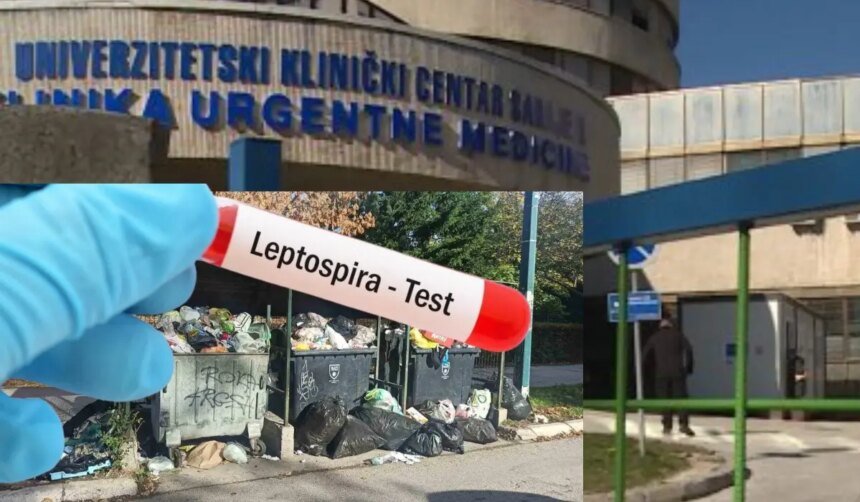 ZAVOD ZA JAVNO ZDRAVSTVO KS: Leptospiroza hara, a Sarajevo dvije godine bez deratizacije