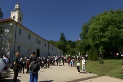 “Držite djecu” – ljudska misija na Fruški Gori za rak u kojem se novac prikuplja, ali i puna duša