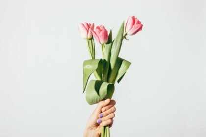 Nedeljni horoskop od 26. maja do 1. juna: Venera u Biku donosi stabilnost u ljubavi