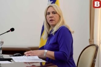 KO ĆE HAPSITI ŽELJKU CVIJANOVIĆ: Audio snimak kao dokaz korupcije, politički montirani procesti vežu se za istog tužioca…