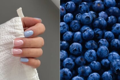 Kada poželite da osvežite svoj minimalistički manikir tu su blueberry nails