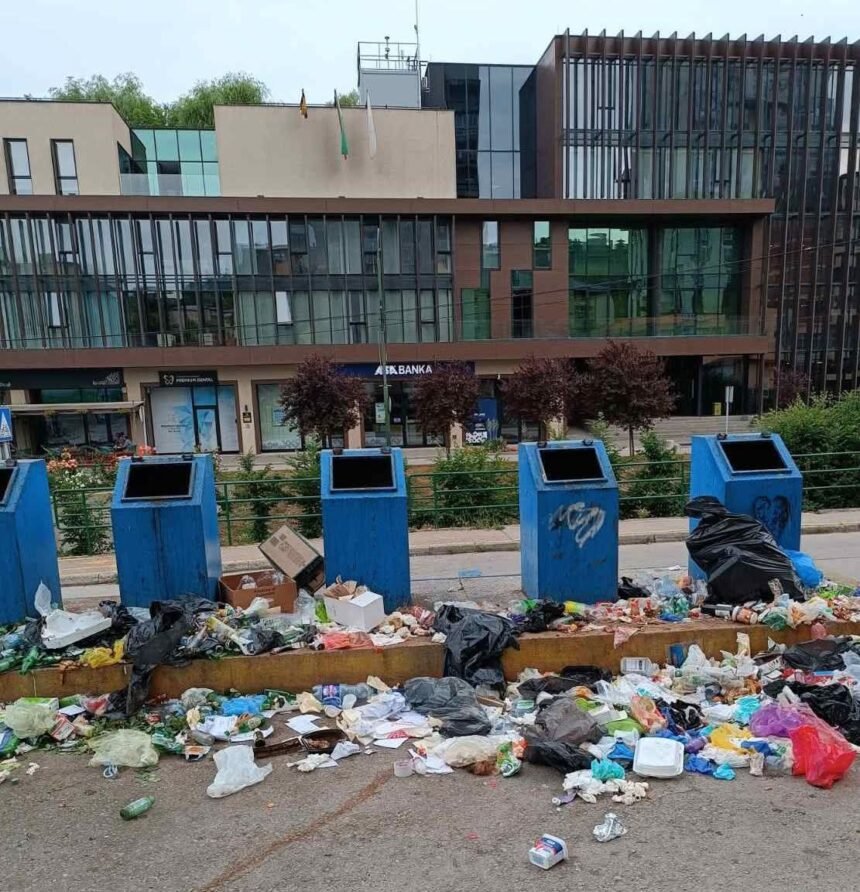 Smeće razbacano pored kontejnera prijeti zdravlju, komunalni radnici nemoćni
