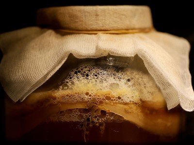 Fermentirani napitci i zdravlje mozga