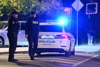 Policija u Hrvatskoj uhapsila muškarca koji je sjekirom ubio majku
