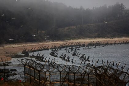 Amerikanci su pritvorili pokušavajući poslati rižu, bibliju, račune za dolare u Sjeverni Koreju