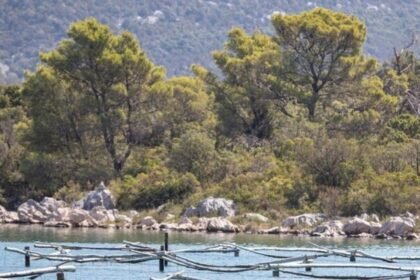 LOŠE VIJESTI IZ DUBROVAČKO-NERETVANSKE ŽUPANIJE: More na plaži ovog gradića zagađeno fekalijama, do daljnjeg se…