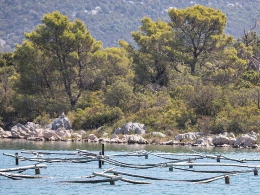 LOŠE VIJESTI IZ DUBROVAČKO-NERETVANSKE ŽUPANIJE: More na plaži ovog gradića zagađeno fekalijama, do daljnjeg se…