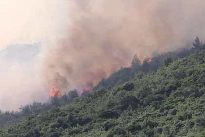 Požar na Kozjaku pod kontrolom, nema otvorenog plamena
