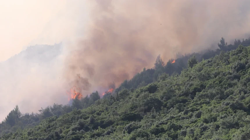 Požar na Kozjaku pod kontrolom, nema otvorenog plamena