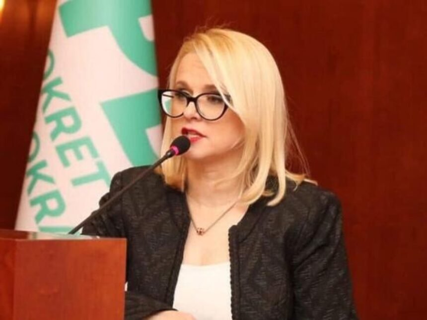 IZ OPĆINSKOG SUDA ŽIVINICE OBJAVILI: Elzina Pirić osuđena na 16 mjeseci zatvora zbog…