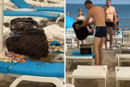 Obitelj ponijela ručak na plažu, a kad su izašli iz mora, doživjeli su noćnu moru