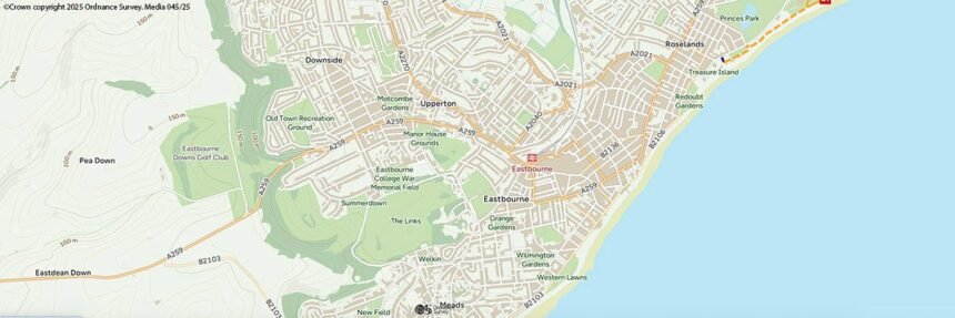 Intervju: Manish Jethwa, glavni tehnološki službenik, anketa o orndanceu