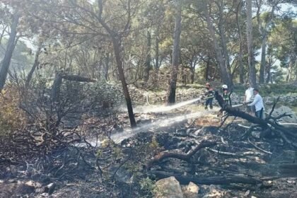 Bakljada učenika  skoro izazvala katastrofu na Lošinju: Izgorjelo gotovo 1000 kvadrata raslinja
