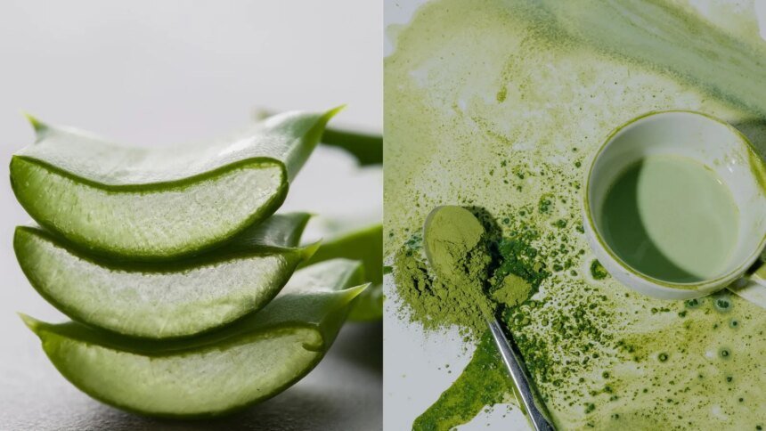 Zaboravite spirulina i podudaranje: Aloe Vera prah je novi wellness favorit