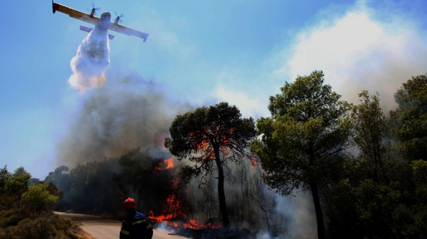Vatra na obodu Atine pod kontrolom, evakuacija stanovništva nastavila se