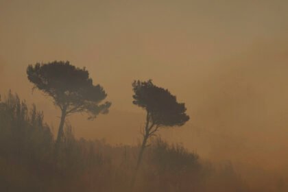 Razbuktao se požar kod Krila Jesenice
