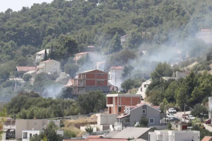 Požar u Rupotini iznad Solina prijetio kućama, vatrogasci ga lokalizirali
