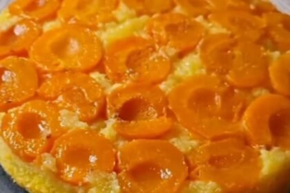 JOŠ MALO PA NESTALO: Kolač od kajsija oduševit će i staro i mlado, poklanjamo recept…
