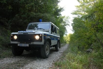 Detalji drame u Hrvatskoj: Majka pokušala ubiti sina sjekirom dok je spavao