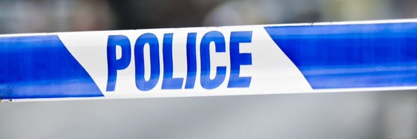 Prediktivna analitika u policiji: vaganje prednosti i nedostataka