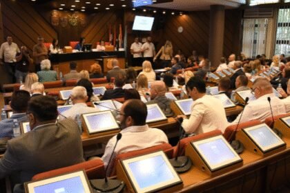 Skupština Novog Sada usvojila je inicijativu za podizanje spomenika u stradalima u padu nadstrešnica