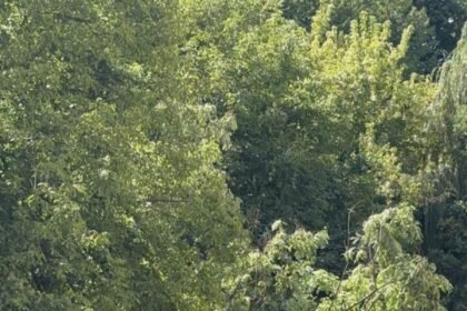 POKRENULO SE KIZIŠTE U GRADAČAČKOJ: Ugrožene garaže