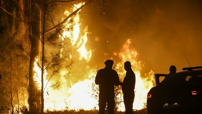 Dvije zemlje se bore s nezapamćenim požarima nakon najtoplijeg lipnja u povijesti: “Ova je zemlja pripadala mome ocu”